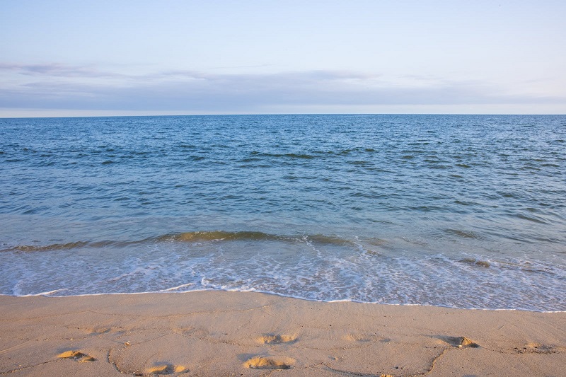 1694444429411050.jpg 48.jpg